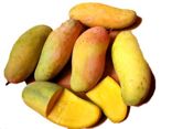 mango-maha-cutout